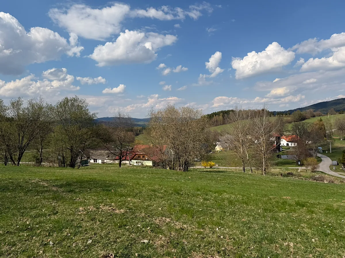 Fotka 10 z 16